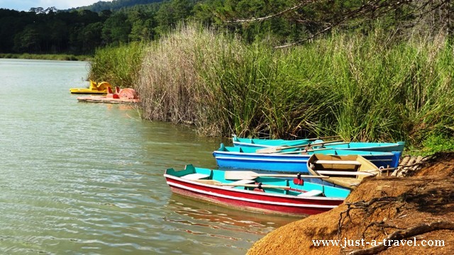 Laguna Bosque Azul