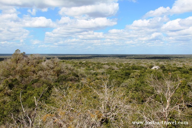 Widok ze Struktury I Calakmul