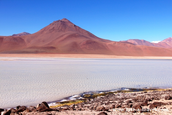 Boliwia Laguna Blanca