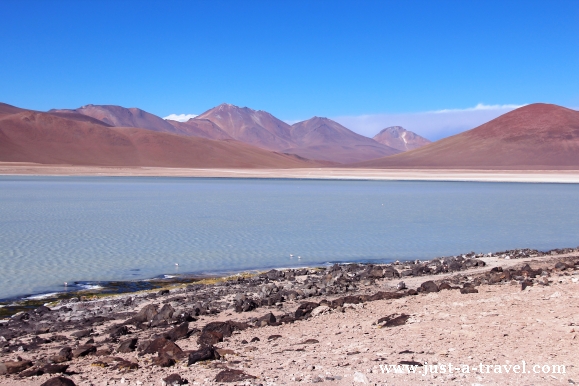 Laguna Blanca Boliwia