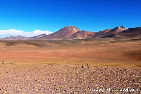 Boliwia Altiplano