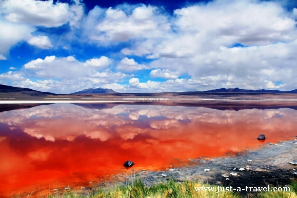 Laguna Colorada w Boliwii