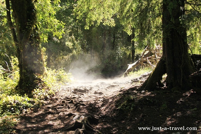 Park Huerquehue