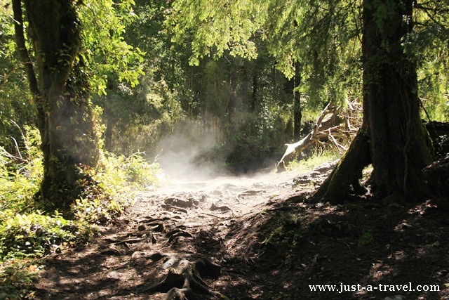 Park Huerquehue