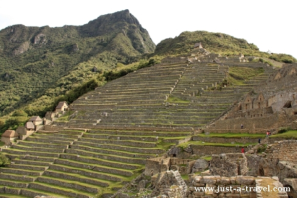 Tarasy Machu Picchu