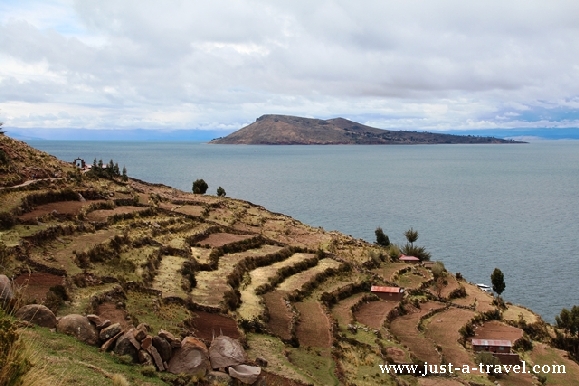2. Taquile pola