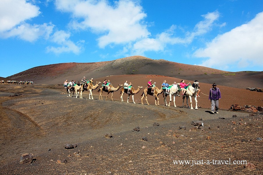 Los Camellos na wyspie Lanzarote