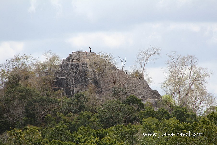 Piramidy Calakmul