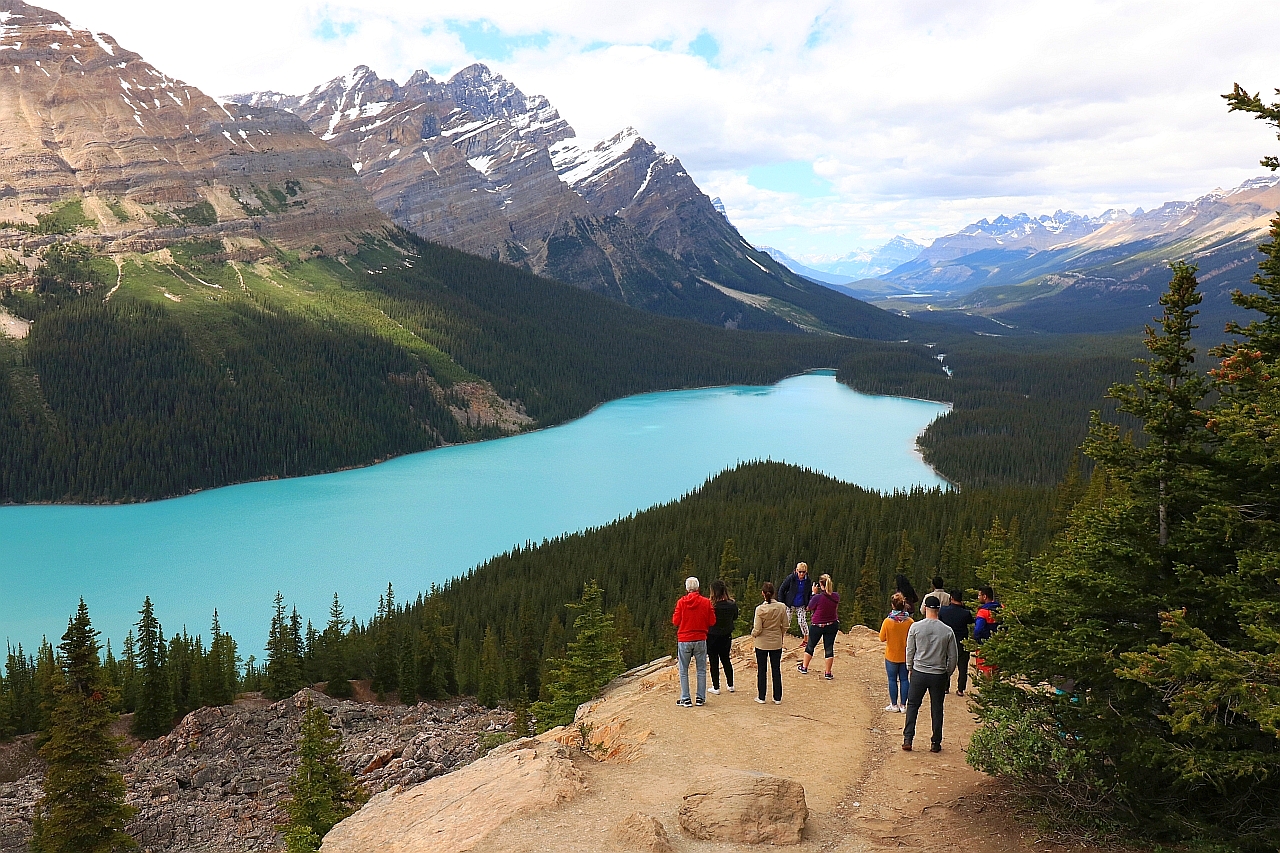 Park Narodowy Banff Peyto Lake