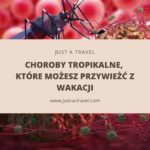 Choroby tropikalne, które możesz przywieżć z wakacji