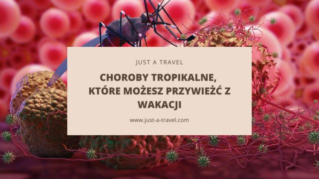 Choroby tropikalne, które możesz przywieżć z wakacji