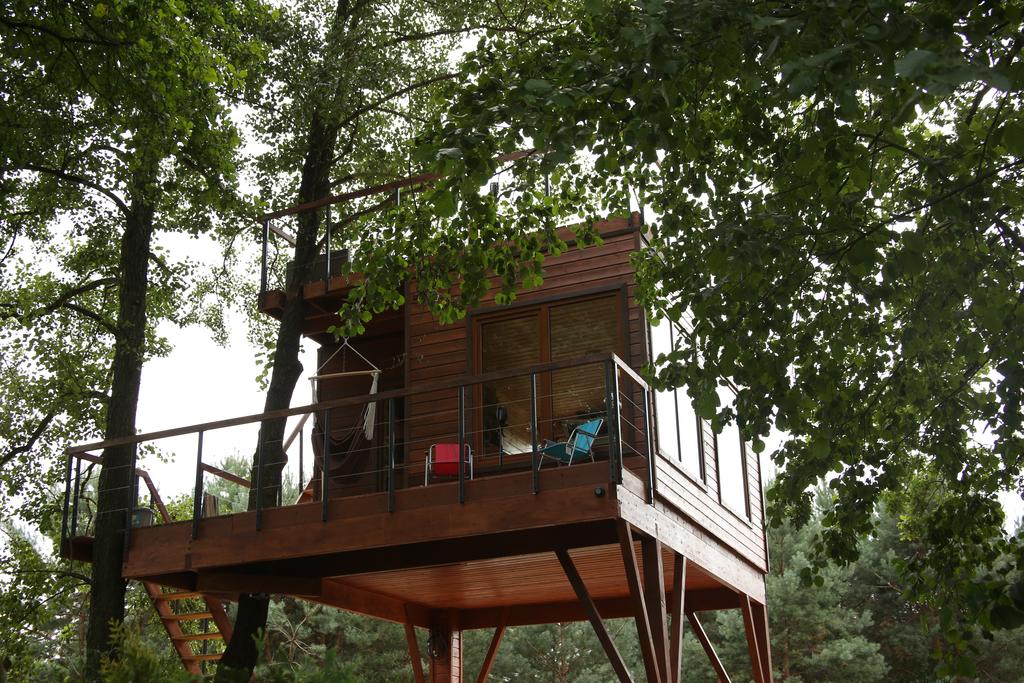 Niezwykłe miejsca na nocleg w Polsce Domek na drzewie