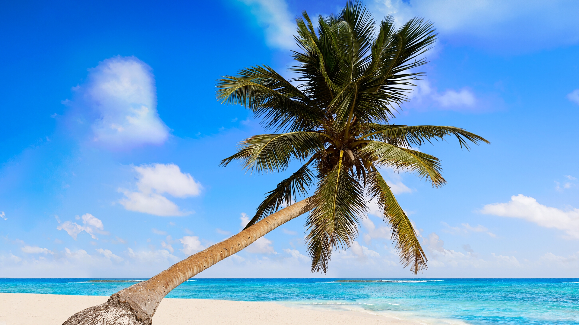 Najpiękniejsze plaże na Jukatanie - Playa Paraiso Tulum